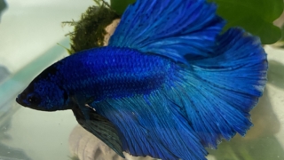 Thumbnail of post image 020