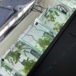 Thumbnail of post image 096