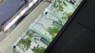 Thumbnail of post image 075