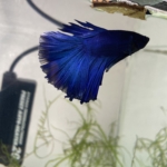 Thumbnail of post image 047