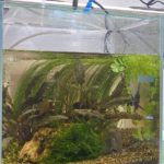 Thumbnail of post image 060