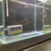 Thumbnail of new posts 144